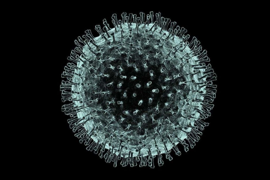 koronavirüs-corona-virüs